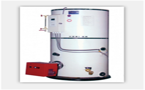 立式圓筒導熱油爐