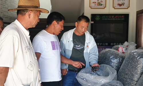 黨旗飄飄張明國 ：初心如磐 使命在肩