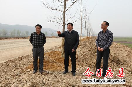 確保4月10日完成縣城至軍店一級路綠化工程任務(wù)