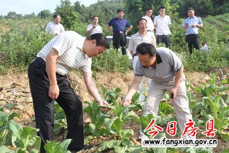 真抓實干　推動鄉域經濟社會又好又快發展