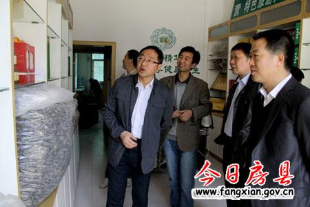 朱光洪調研食用菌產業發展情況