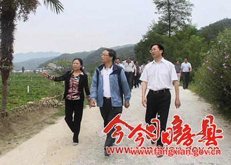 蔡賢忠調研竹房城鎮帶房縣片區建設情況