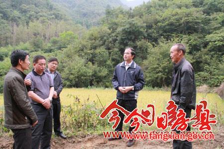 柯大成到軍店鎮(zhèn)調(diào)研精準(zhǔn)扶貧和村“兩委”換屆工作
