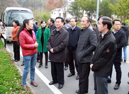 省政協主席楊松來我縣調研經濟社會發展情況