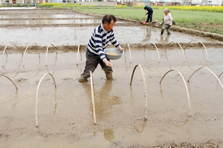 小水利助力春耕生產(chǎn)