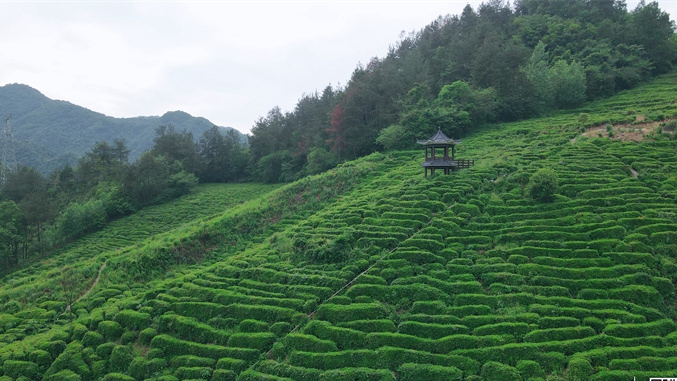 窯淮窯旅游區獲評國家3A級旅游景區