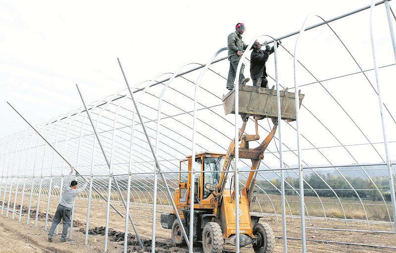 化龍堰鎮搭建滴水灌溉蔬菜鋼架大棚