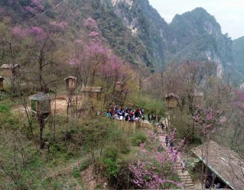五一小長(zhǎng)假第三天各景區(qū)現(xiàn)游客井噴景象