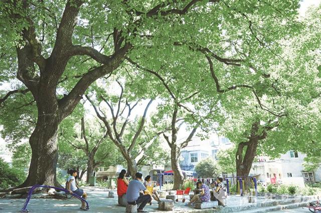 湖北將每年建設300個國家森林鄉村，綠化美化5000個村