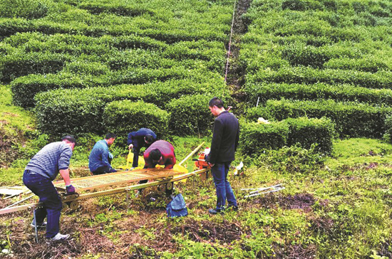 窯淮鎮機械化運輸助茶農增收