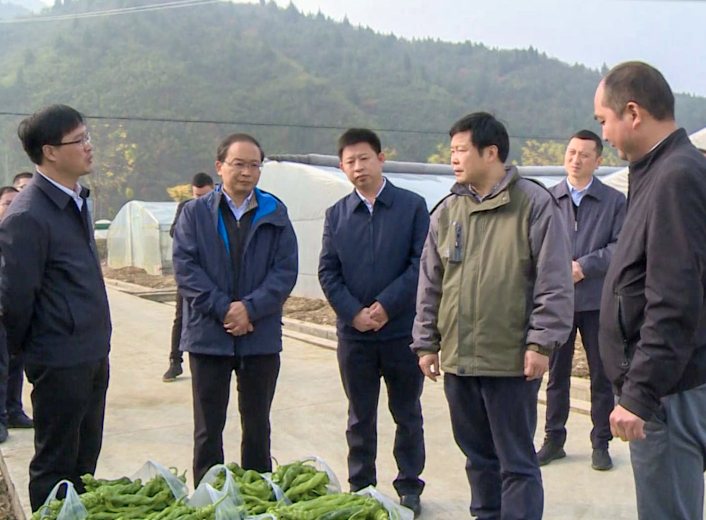 陳新武強調:鞏固脫貧攻堅成果 夯實鄉村振興根基