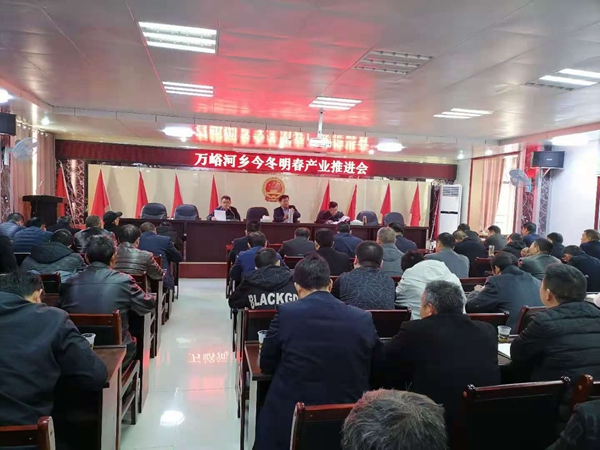 萬峪河鄉(xiāng)召開今冬明春產業(yè)推進會