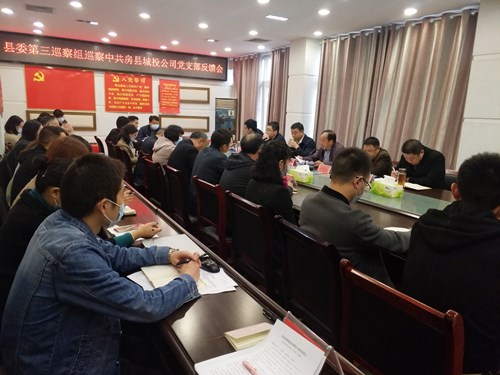 縣委第三巡察組向縣城投公司黨支部反饋巡察情況