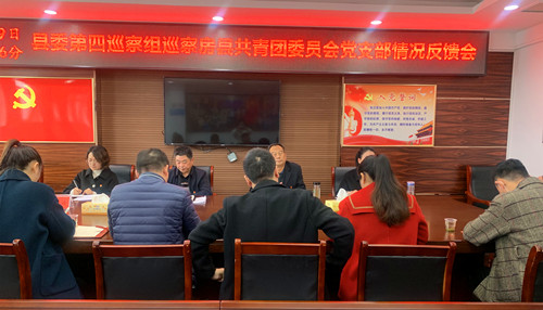 縣委第四巡察組向團縣委黨支部反饋巡察情況