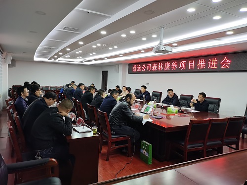 鼎途公司來我縣投資建設柳樹埡森林康養項目