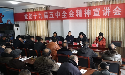 張歌鶯到化龍堰高橋村宣講黨的十九屆五中全會精神