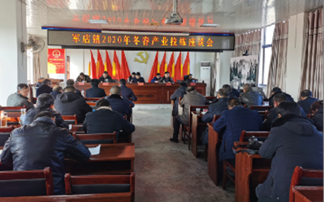 比村貌，秀美景，展實力--軍店鎮開展2020年度第四季度人居環境整治和產業發展拉練活動