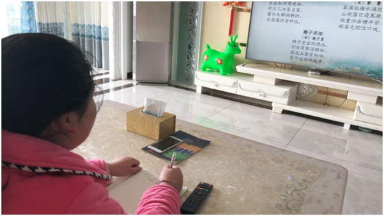 白鶴鎮石堰河小學多項舉措確保“停課不停學”
