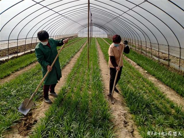 房縣出臺鞏固脫貧成果“十條意見”， 條條都是“真金白銀”