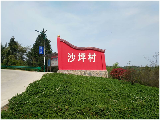 紅塔鎮(zhèn)沙坪村：修道路植新翠，鄉(xiāng)村處處添美景