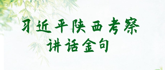 習(xí)近平在陜西考察調(diào)研講話金句