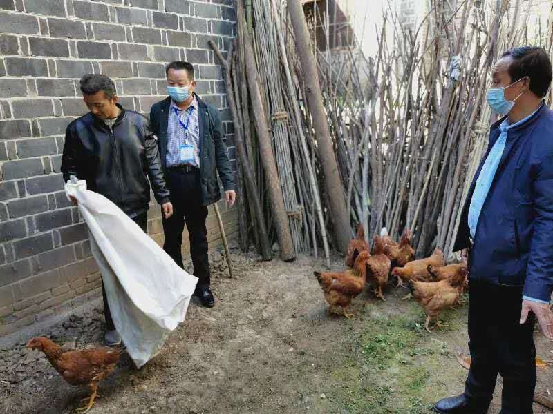 紅塔鎮：以戶戶走到為抓手，深入群眾“三落實”