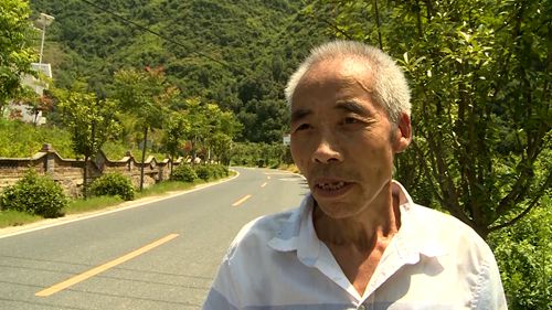 姚坪鄉： 銀杏產業托起農民增收夢