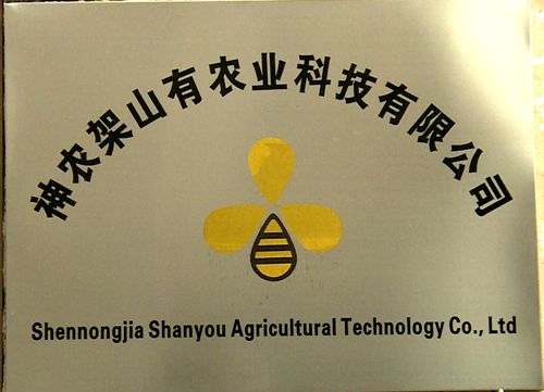 202009151807051821.jpg