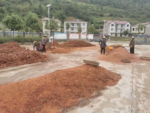 中壩鄉：找準“三個發力點”壯大村集體經濟