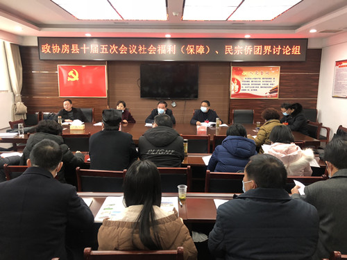 丁選清參加政協社會福利（保障）、民宗僑團界聯組討論