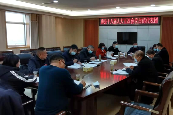 高明哲參加白鶴鎮和土城鎮人大代表團分組討論
