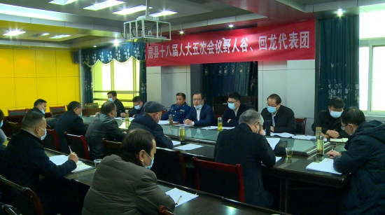 王宇星 何慶國參加野人谷 回龍人大代表團分組討論