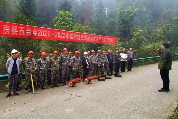 房縣啟動今冬明春松材線蟲病疫木除治工作