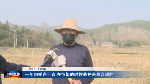 紅塔鎮：人勤春來早 春耕正當時
