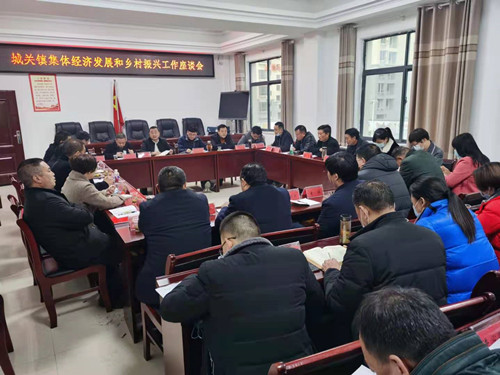 城關鎮：以項目拉練激發集體經濟和鄉村振興創新發展活力