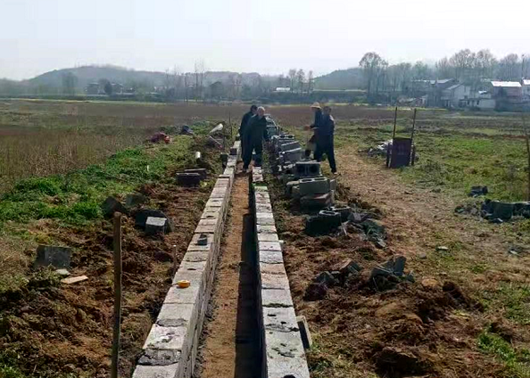 化龍堰鎮：高標準“水利”激發耕地“新活力”