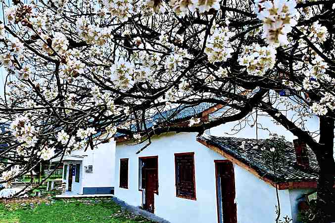 房縣住建局榮獲全省脫貧攻堅先進集體榮譽稱號
