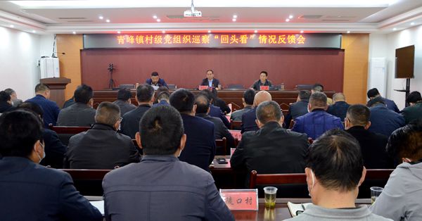 縣委第五巡察組向青峰鎮反饋村級黨組織巡查“回頭看”情況