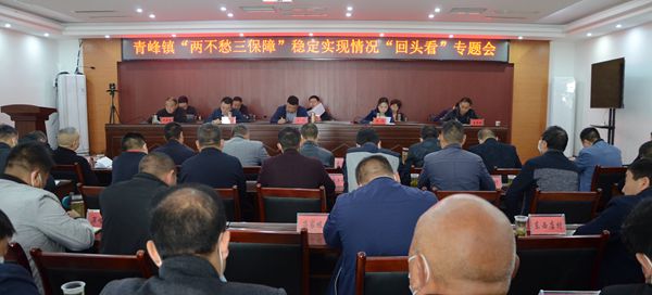 青峰鎮(zhèn)安排部署“兩不愁三保障”穩(wěn)定實(shí)現(xiàn)情況“回頭看”工作