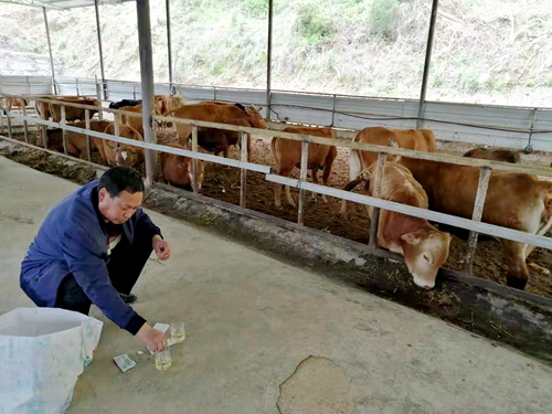 我縣開展“瘦肉精”專項整治百日行動