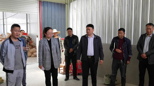 房縣市場監管局：優化營商環境助力白酒產業發展