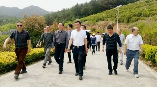 縣畜牧獸醫服務中心：學百年黨史 踐牧業擔當之責