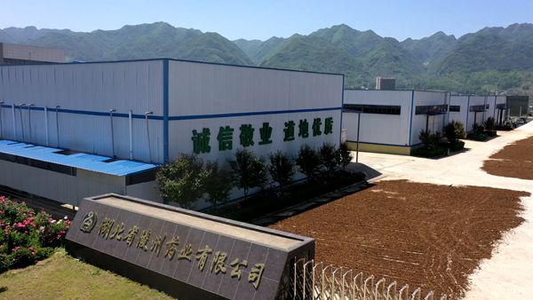 湖北陵州藥業:  芍藥花開 助農增收