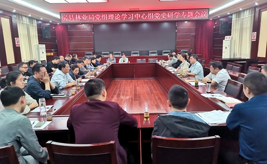 縣委黨史學習教育巡回督導組巡聽旁聽縣林業局黨組理論學習中心組黨史研學專題會議