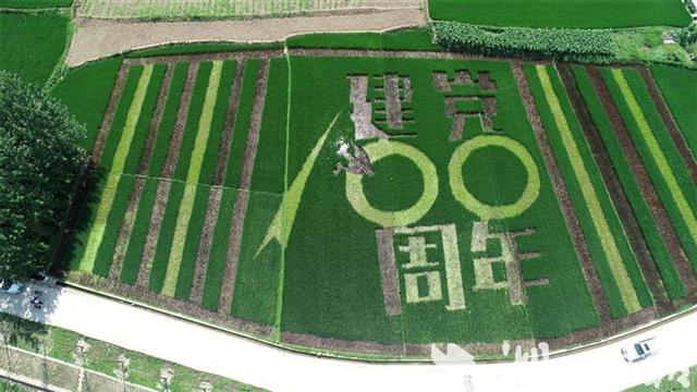 房縣城關鎮稻禾繡圖慶祝黨的生日