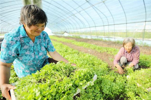 房縣留守婦女家門(mén)口就業(yè)