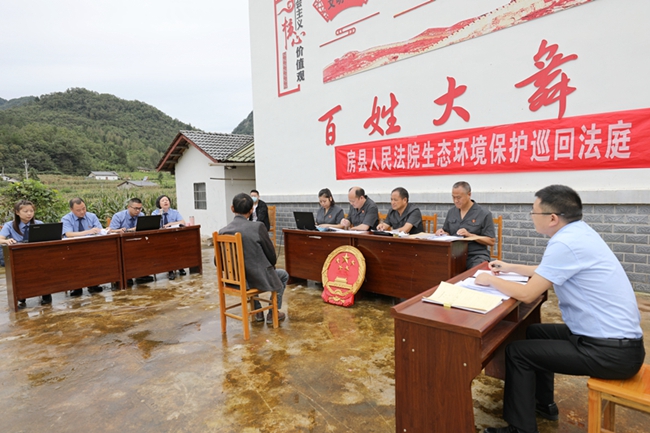 刑事+公益！房縣法院生態保護法庭開展首次巡回審判