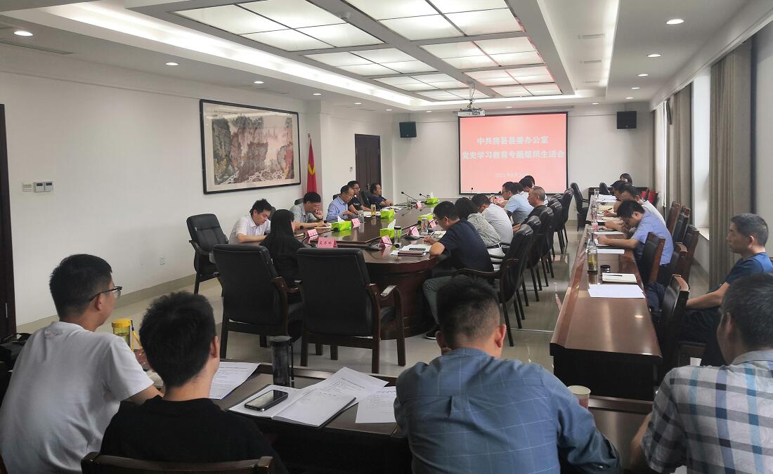 縣委辦黨支部開展黨史學習教育專題組織生活會