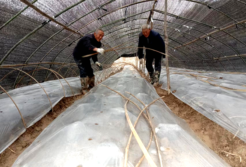 小亭村:發展特色產業 助力鄉村振興