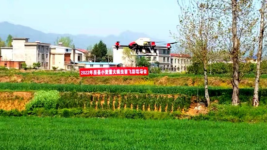 房縣：小麥地里“飛防”忙 統(tǒng)防統(tǒng)治病蟲害
